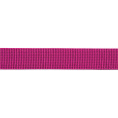 BEAL buclă pentru chingă plată 100 m, fucsia