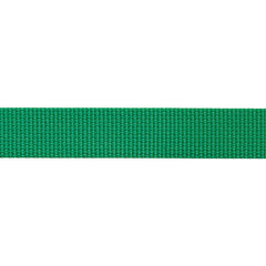 BEAL buclă pentru chingă plată 100 m, verde