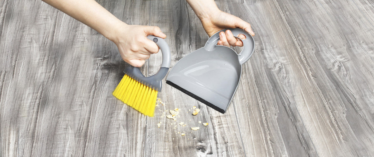 Brunner Tidy perie cu lopată