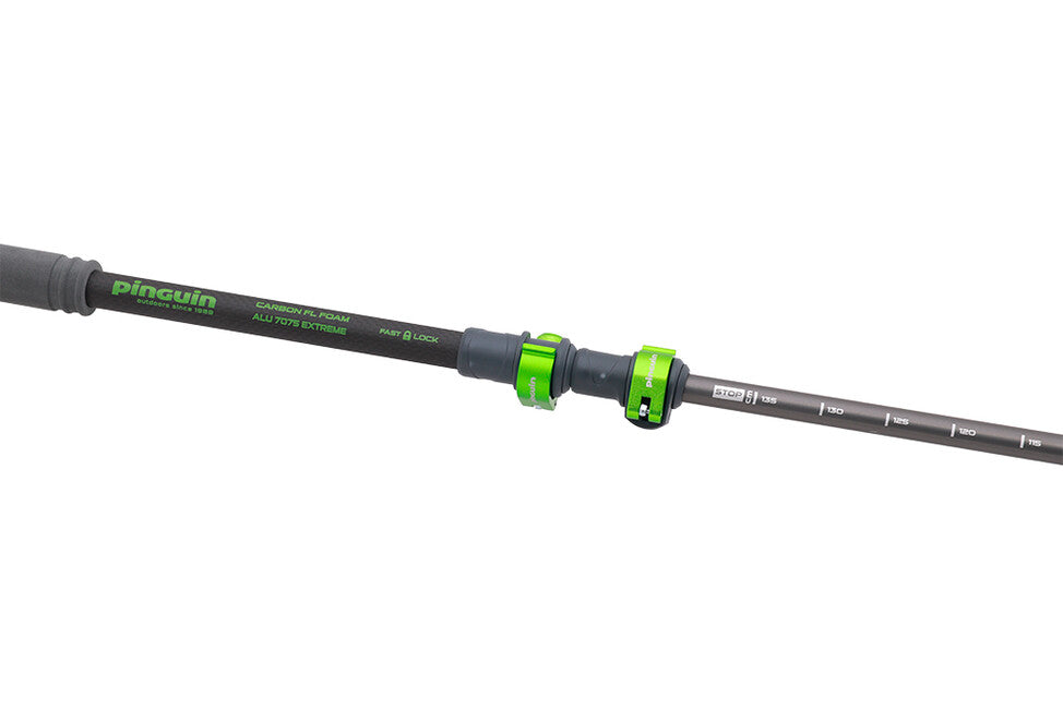 Pinguin Compact FL bețe de trekking foam, gri