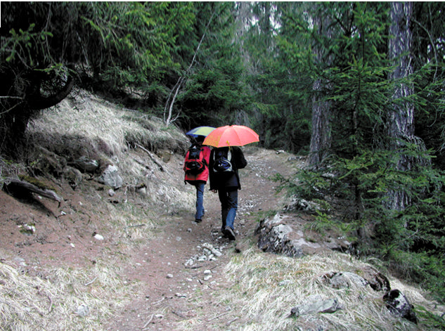 EuroSchirm light trek automatic TrekMate umbrelă de călătorie ultraușoară, neagră