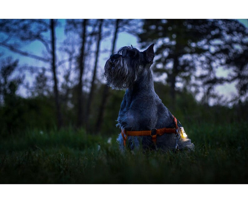 ArmyTek Zippy LED breloc, roz