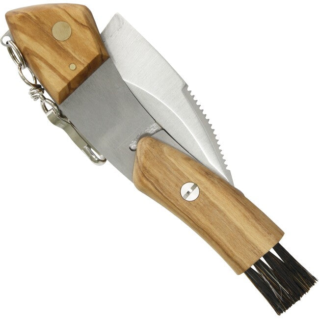 Maserin cuțit de ciuperci Pilz, lemn de măslin
