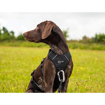 Mountain Paws ham pentru animale M