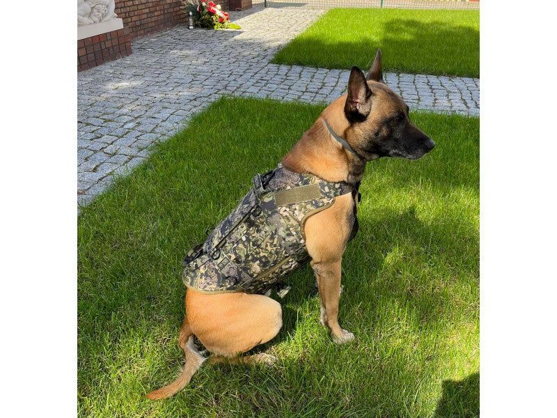 K9 Thorn ham tactic Cordura, map, XL