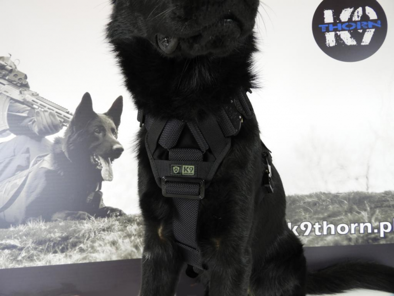K9 Thorn ham Delta, negru