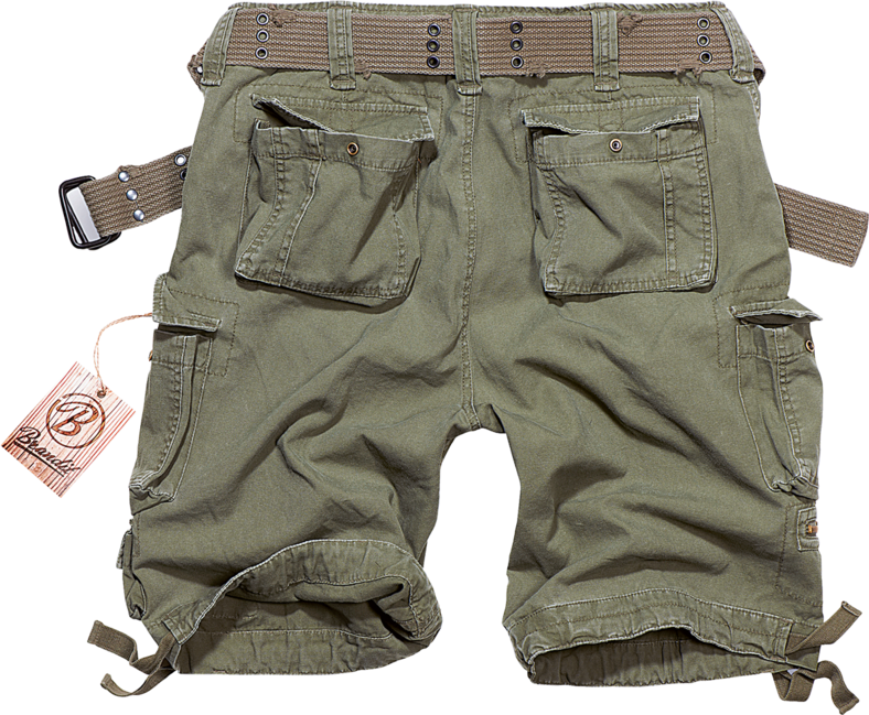 Brandit Savage Vintage pantaloni scurți, oliv