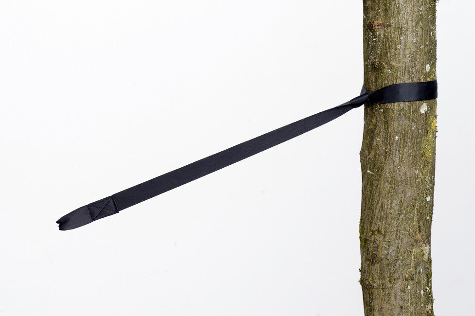 Amazonas tree hugger protecție pentru copaci, 2 buc