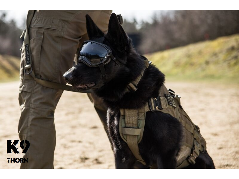 K9 Thorn ham tactic din plasă tehnică, negru