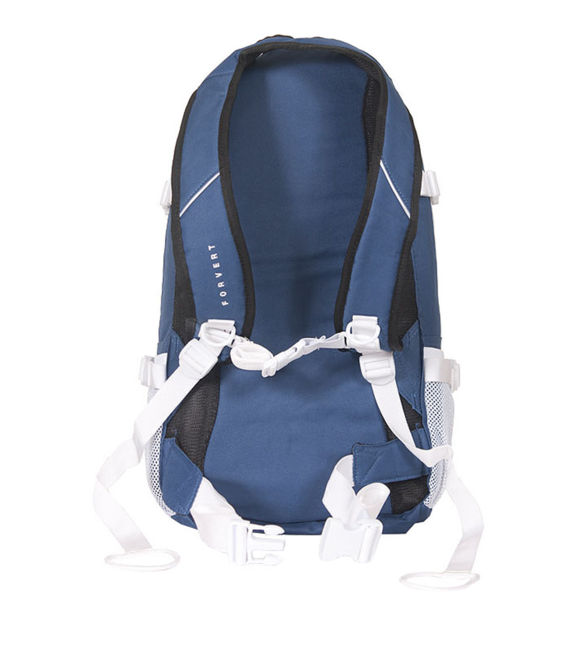 Forvert Ice Louis rucsac 20L, albastru