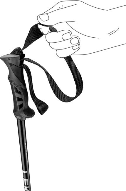 LEKI Rental Classic bețe de schi alpin, argintiu eloxat natural/negru