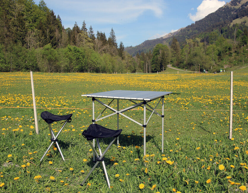 BasicNature Travelchair scaun pe trepied Sandwich