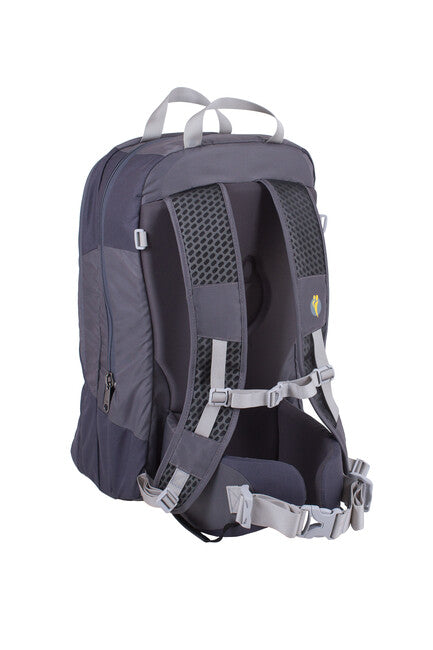 LittleLife Traveller S4 purtător pentru copii, gri