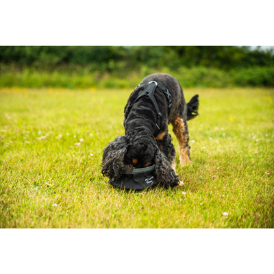 Mountain Paws ham pentru animale, S