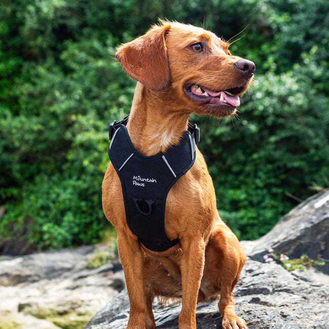 Mountain Paws Dog Harness ham căptușit pentru câini extra mare, negru