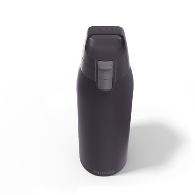 SIGG Therm One sticlă 1 L, Nocturne