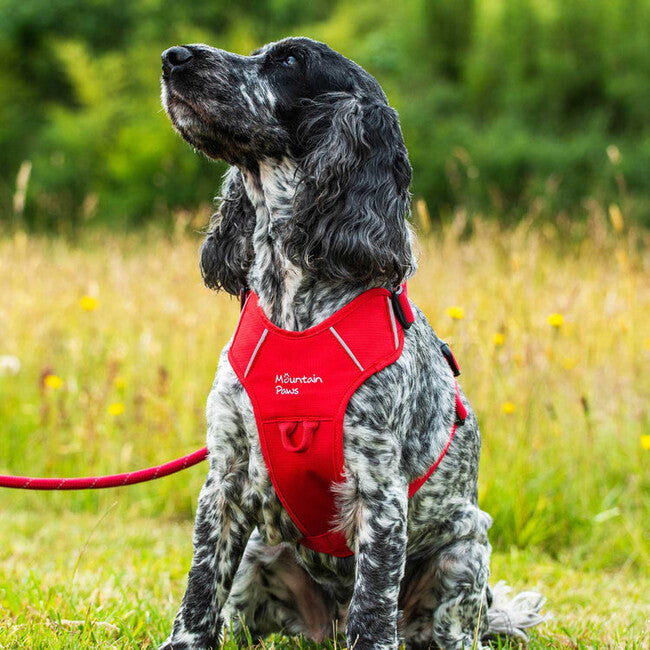 Mountain Paws Dog Harness ham căptușit pentru câini, roșu, extra mare