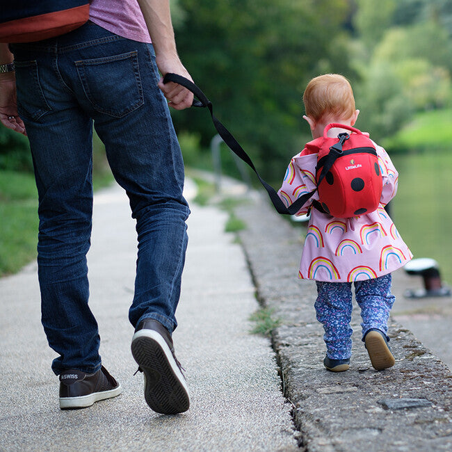 LittleLife rucsac pentru copii 2 l cu motiv buburuză