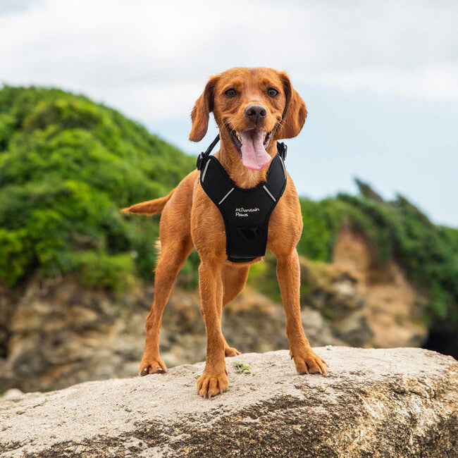 Mountain Paws Dog Harness ham căptușit pentru câini extra mare, negru