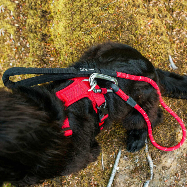 Mountain Paws Dog Harness ham căptușit pentru câini, roșu, mic