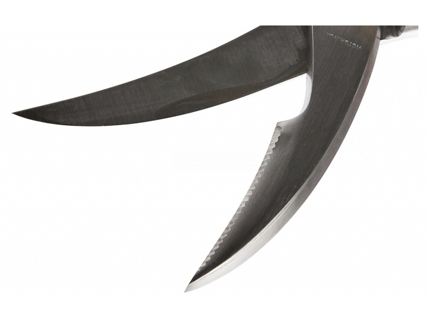 Victorinox foarfece din oțel inoxidabil pentru pasăre