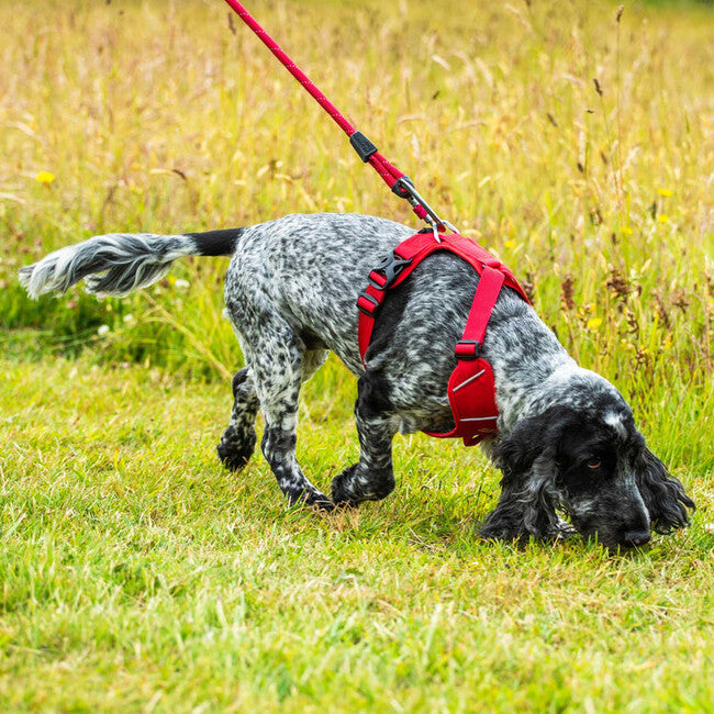 Mountain Paws Dog Harness ham căptușit pentru câini, roșu, mediu
