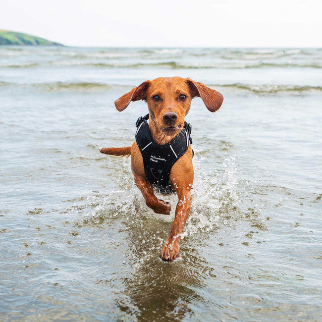 Mountain Paws Dog Harness ham căptușit pentru câini extra mare, negru