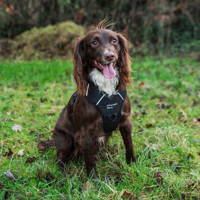 Mountain Paws Dog Harness ham căptușit pentru câini, negru, mare