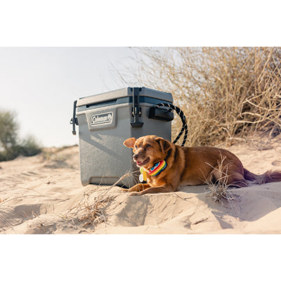 Coleman Convoy ladă frigorifică 28qt 29 L