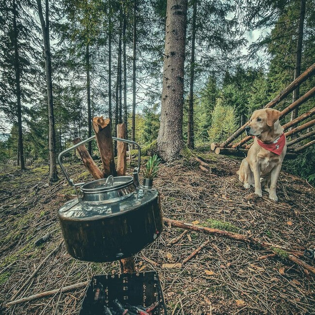 Fire Maple Antarctic ceainic din oțel inoxidabil 1L