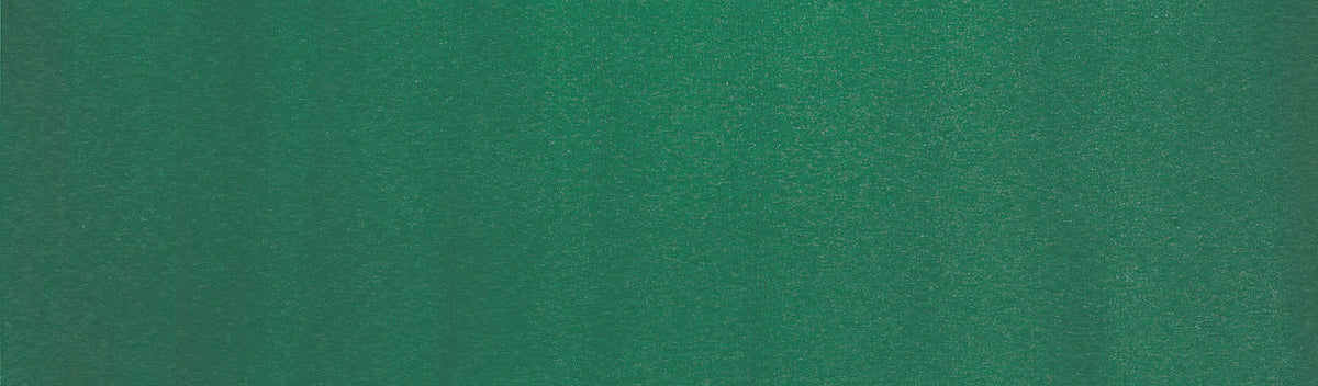 BasicNature Strand saltea de dormit 180 x 50 x 0,7 cm
