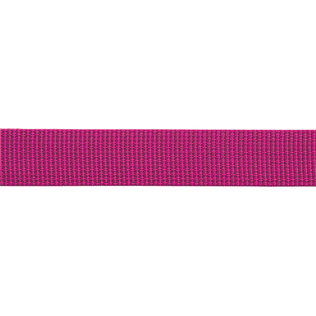 BEAL buclă pentru chingă plată 100 m, fucsia