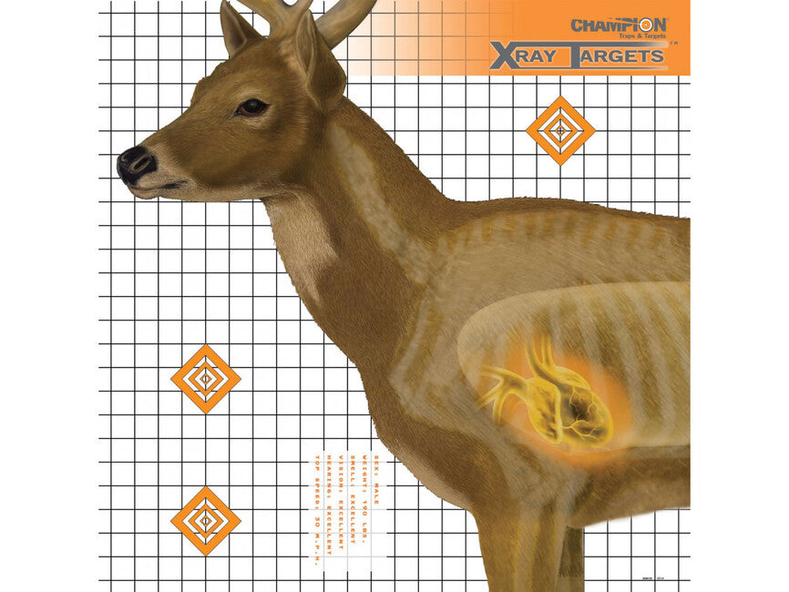 Champion Deer X-Ray țintă, 6 buc