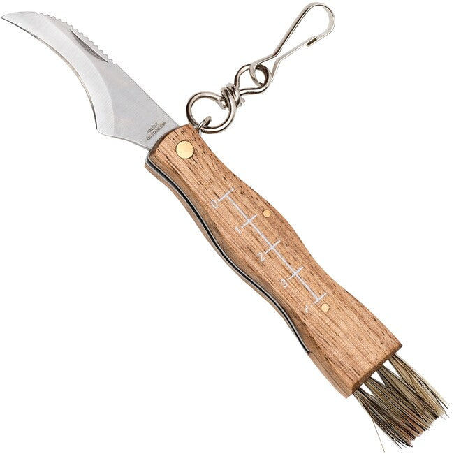 Haller briceag de ciupercar, 5,5cm