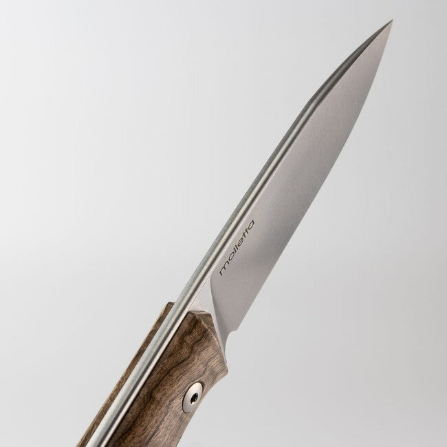 Lionsteel B35 WN cuțit tip bushcraft cu lamă fixă din oțel Sleipner
