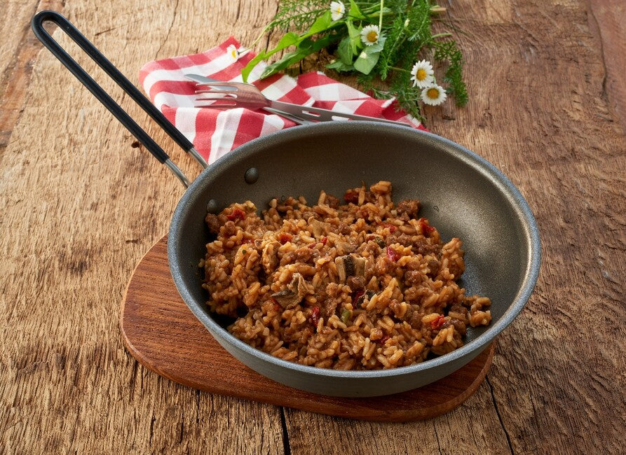 Katadyn GOURMET carne gustoasă cu orez și condimente