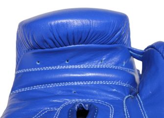 Katsudo mânuşi box Profesional II, albastre